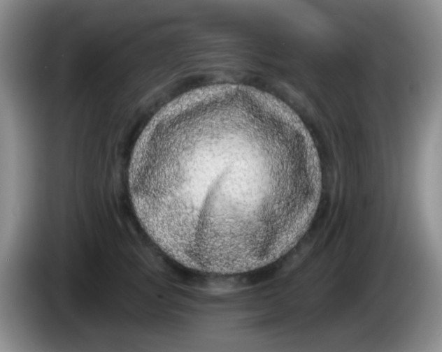 X0000083990757200703091845