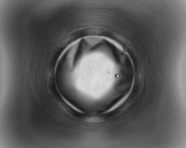 X0000083990759200703091845