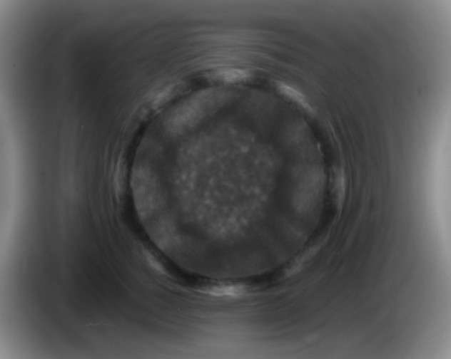 X0000083990760200703091845