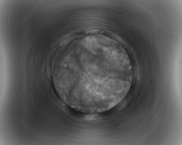 X0000083990761200703091845