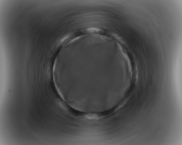 X0000083990762200703091845