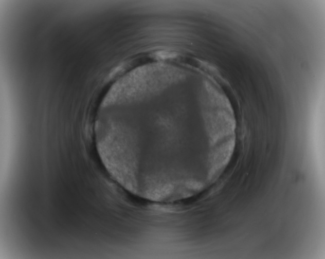 X0000083990763200703091845