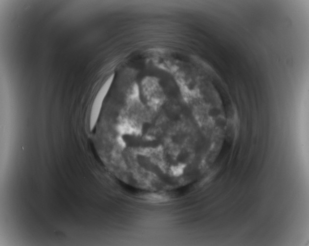 X0000083990765200703091845