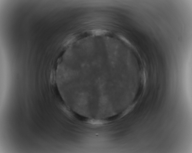 X0000083990766200703091845