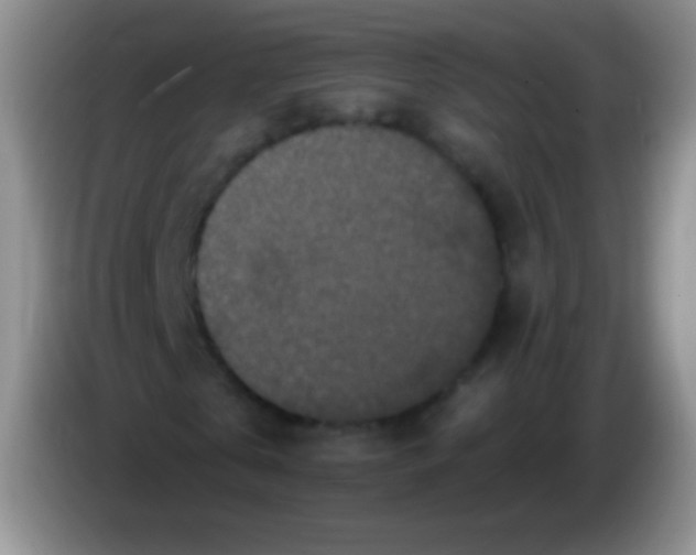 X0000083990769200703091844