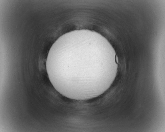 X0000083990770200703091844