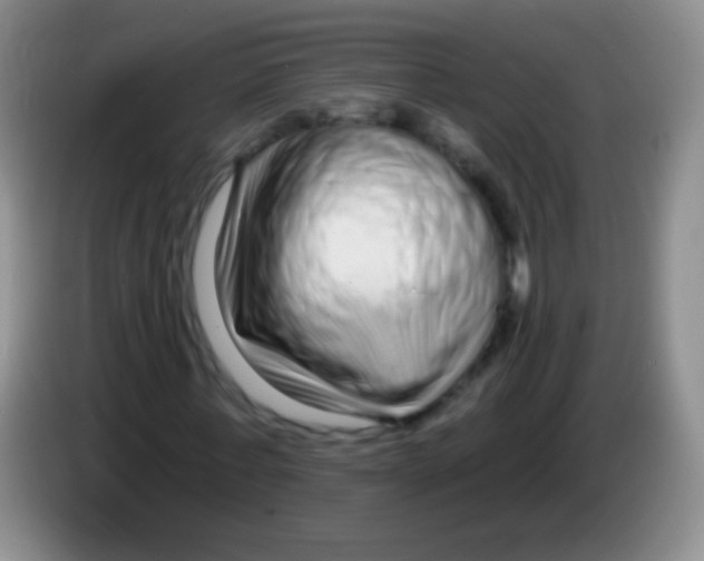 X0000083990771200703091844