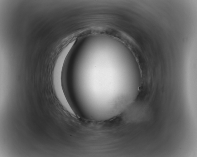 X0000083990773200703091844