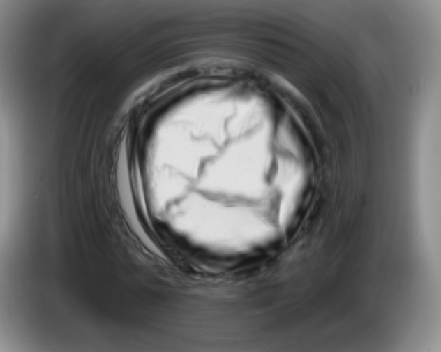 X0000083990775200703091844