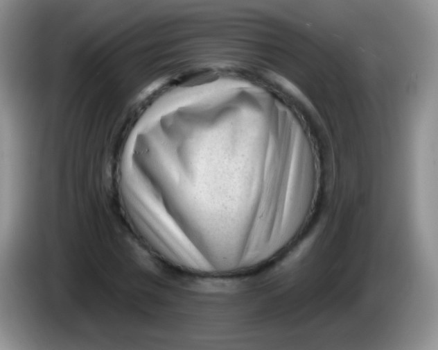 X0000083990777200703091844