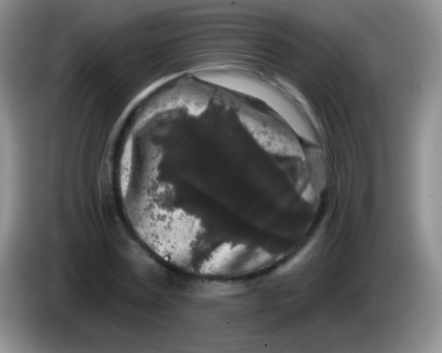 X0000083990779200703091844