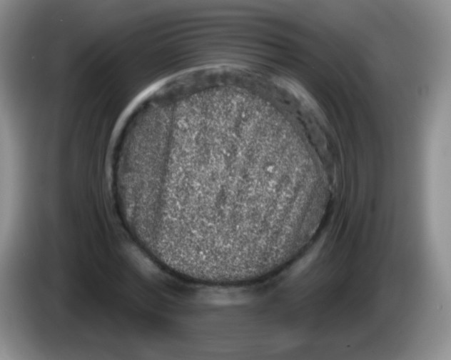 X0000083990780200703091844