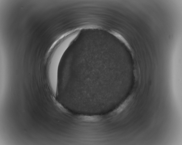 X0000083990781200703091844