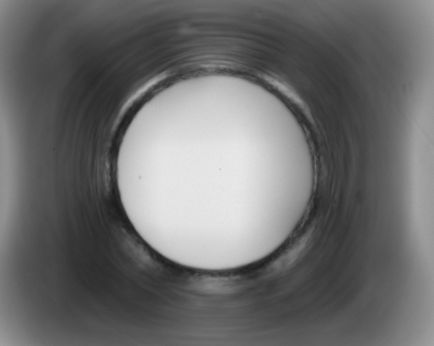 X0000083990782200703091844