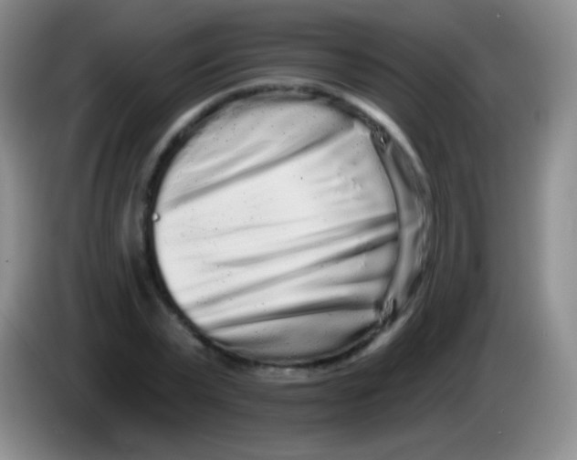 X0000083990783200703091844