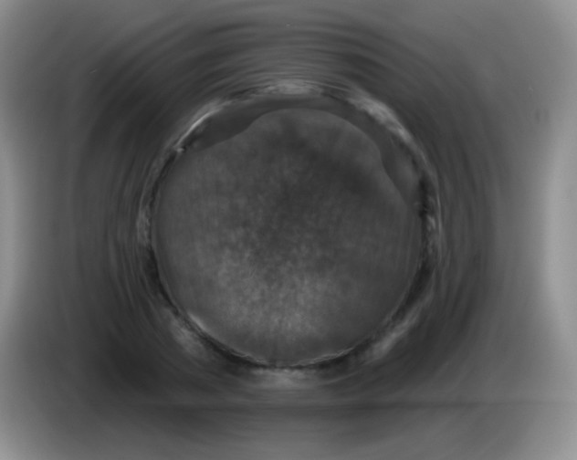 X0000083990785200703091844