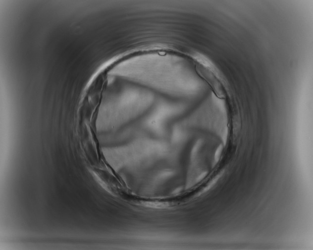 X0000083990789200703091844