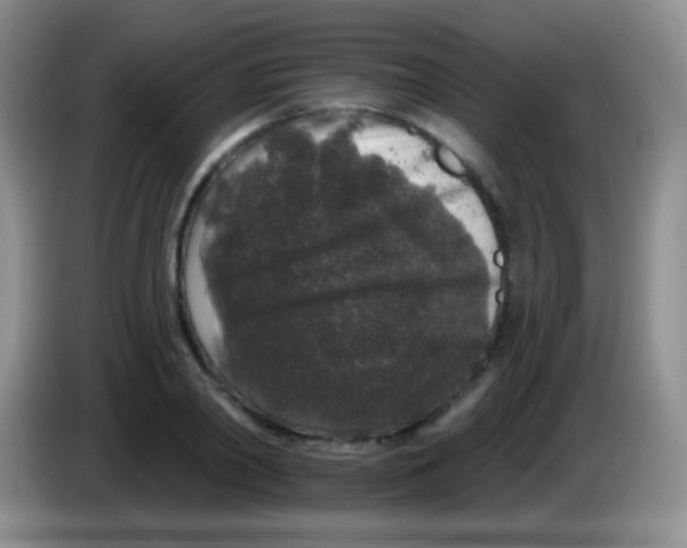 X0000083990790200703091844