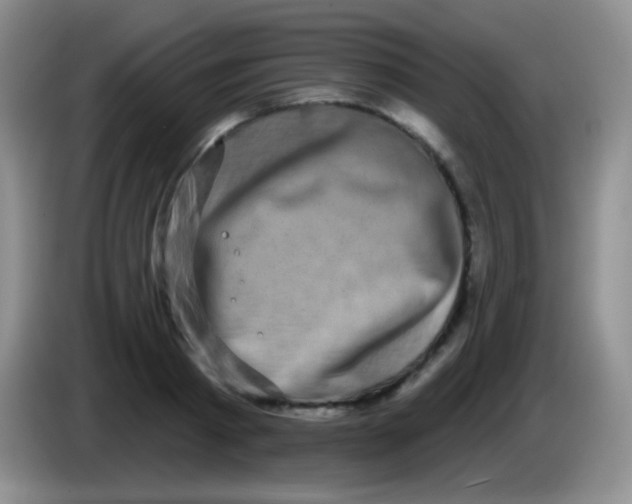 X0000083990793200703091844