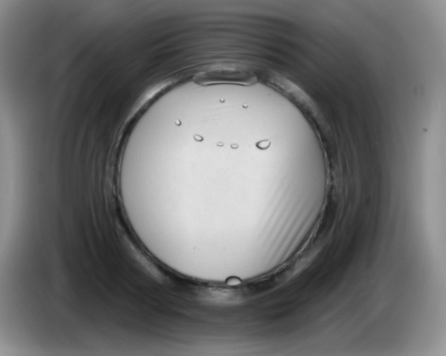 X0000083990794200703091844