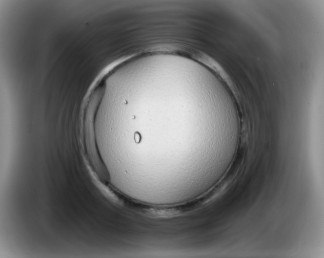 X0000083990795200703091844