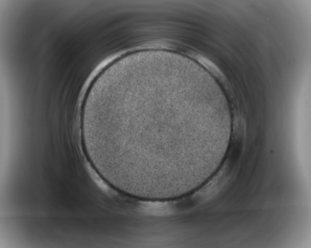 X0000083990800200703091844