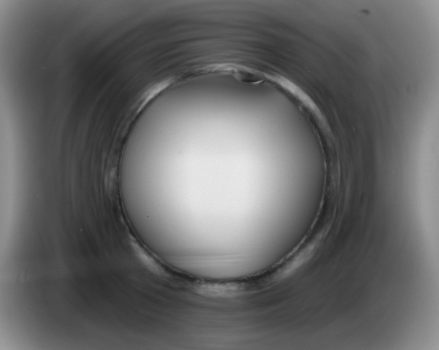 X0000083990801200703091844