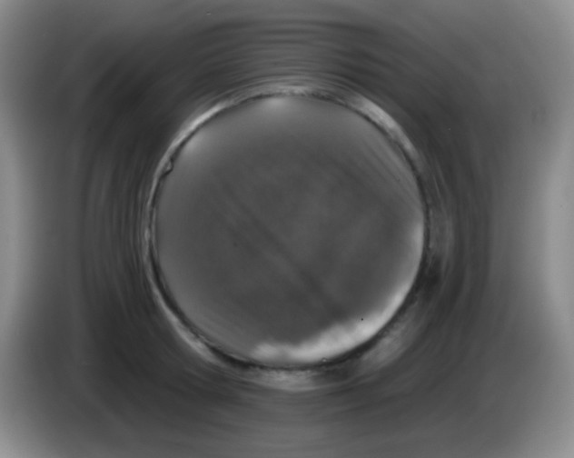 X0000083990802200703091844