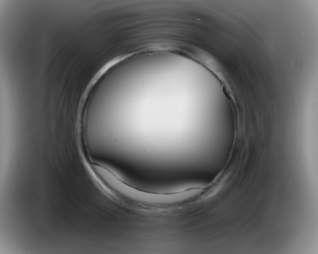 X0000083990803200703091844