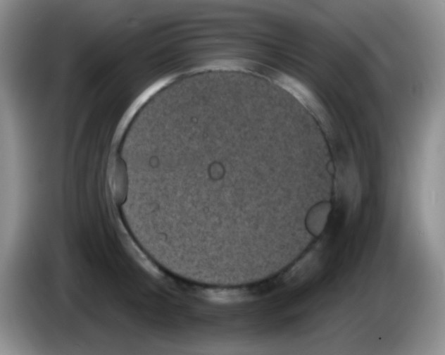 X0000083990804200703091844