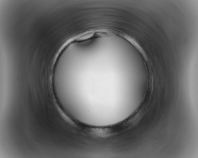 X0000083990805200703091844