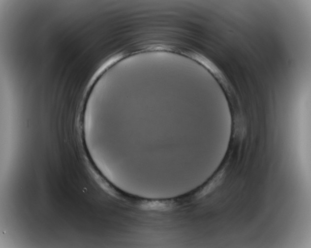 X0000083990806200703091844