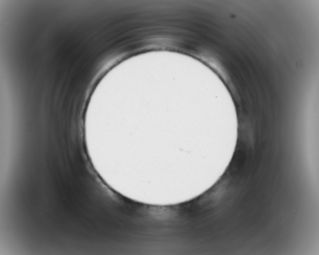 X0000083990807200703091844