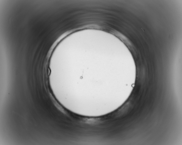 X0000083990808200703091844