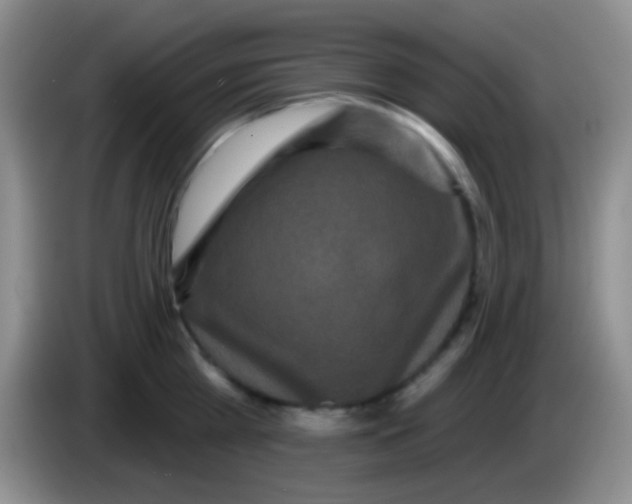 X0000083990809200703091844