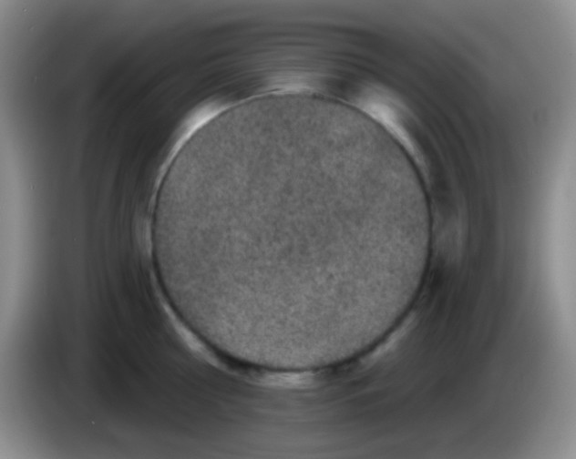 X0000083990810200703091844