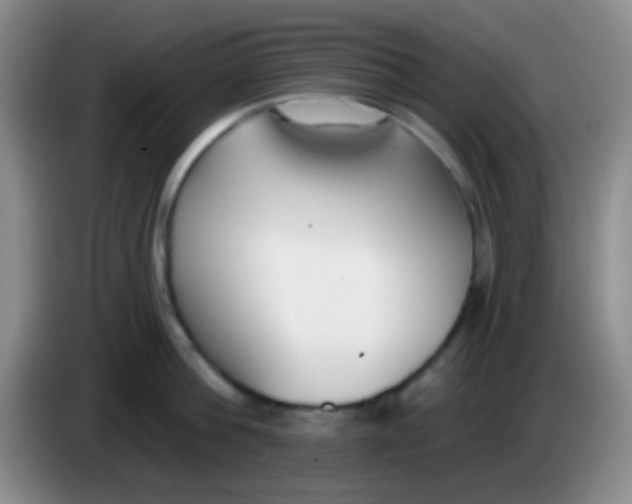 X0000083990812200703091844