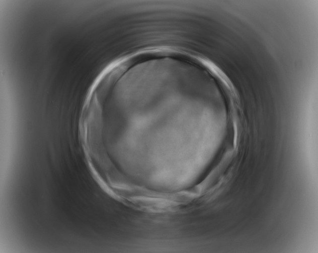 X0000083990813200703091844