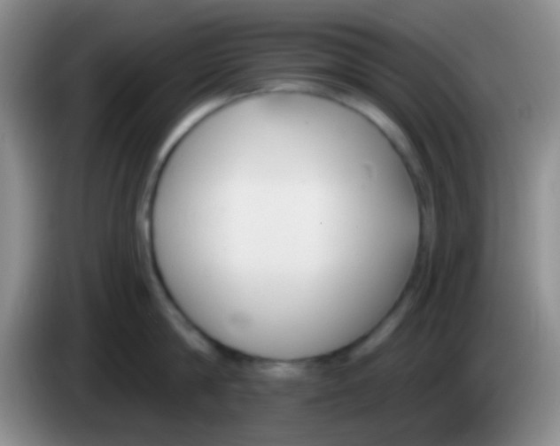 X0000083990814200703091844