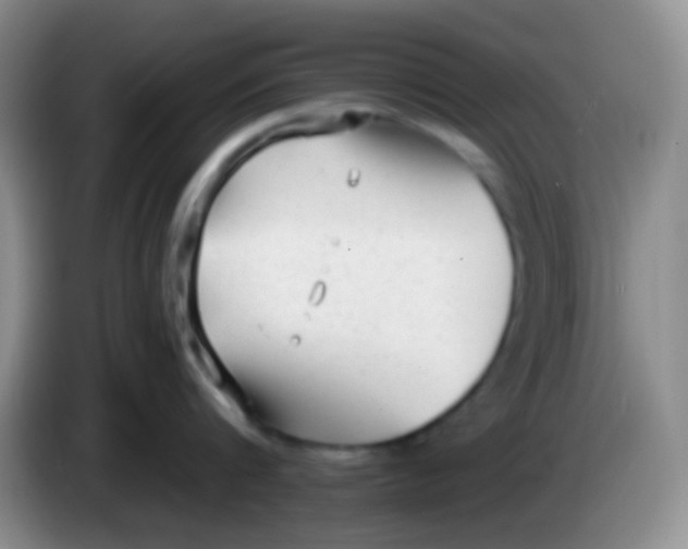 X0000083990816200703091844