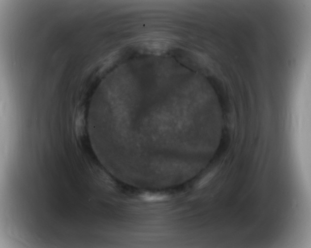 X0000083990818200703091843