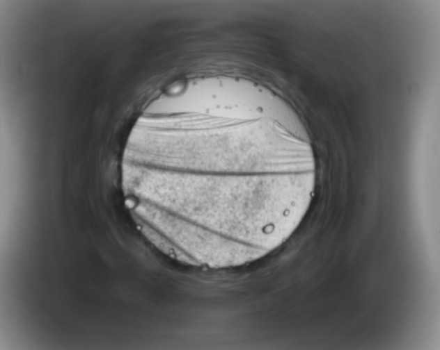 X0000083990820200703091843