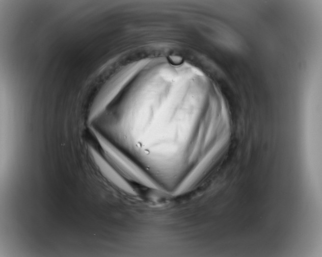 X0000083990821200703091843