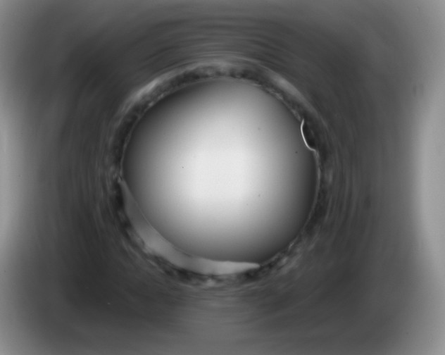 X0000083990822200703091843