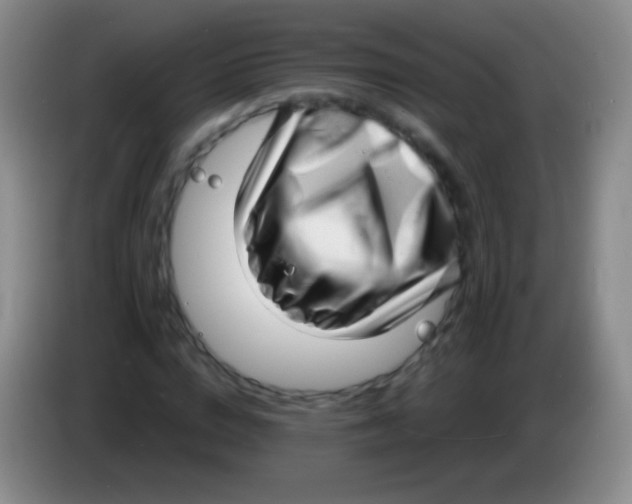 X0000083990824200703091843