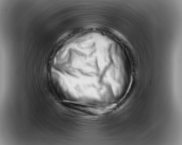 X0000083990825200703091843