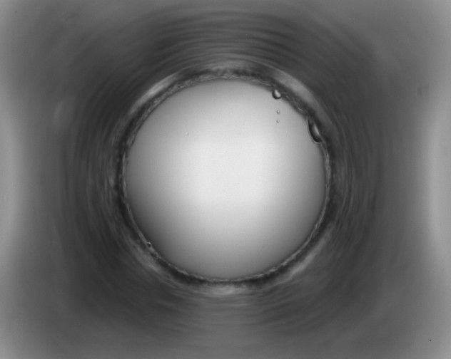 X0000083990826200703091843