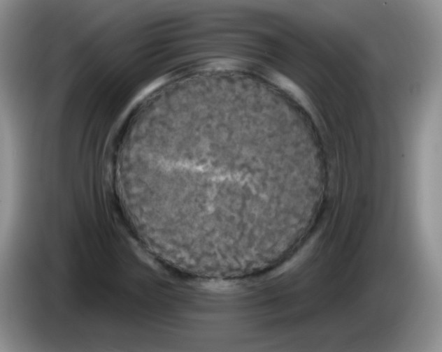 X0000083990827200703091843