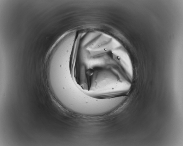 X0000083990828200703091843