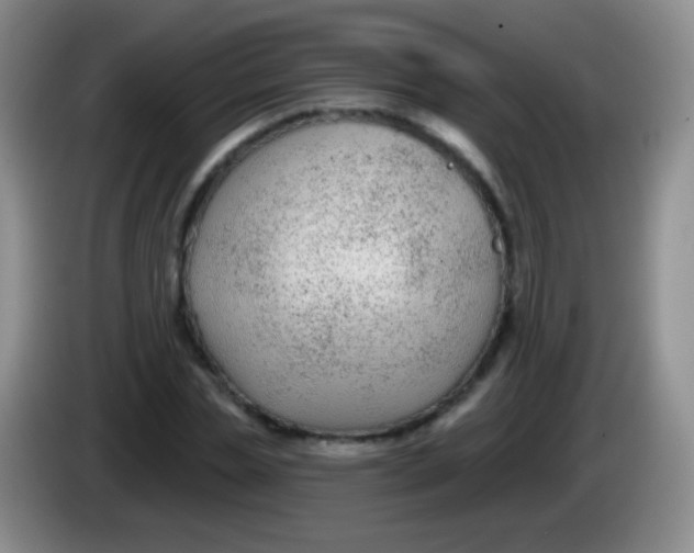 X0000083990829200703091843